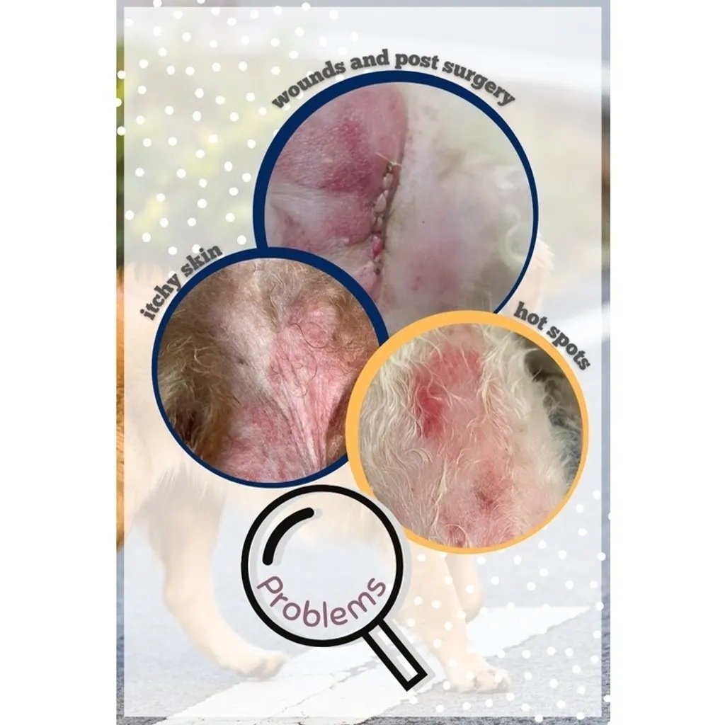HealBalmCat2