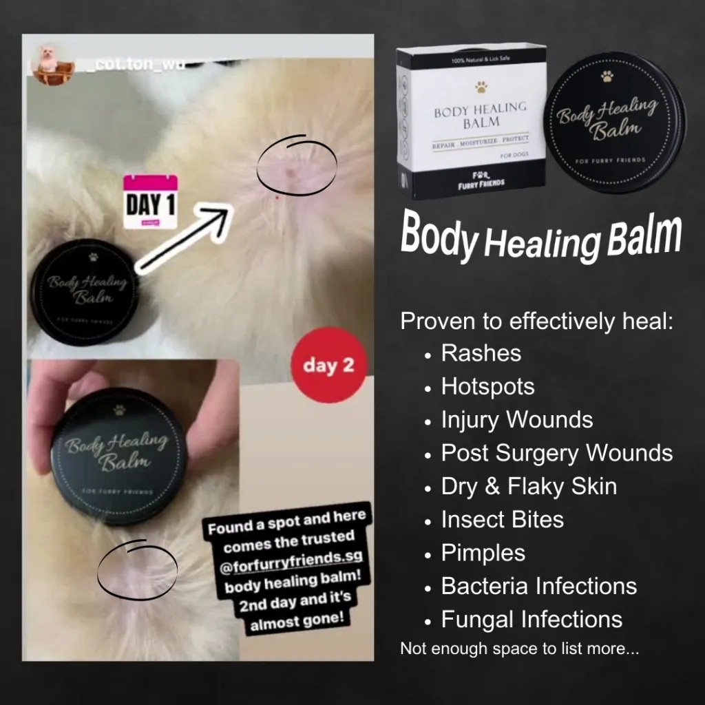 HealBalmCat3